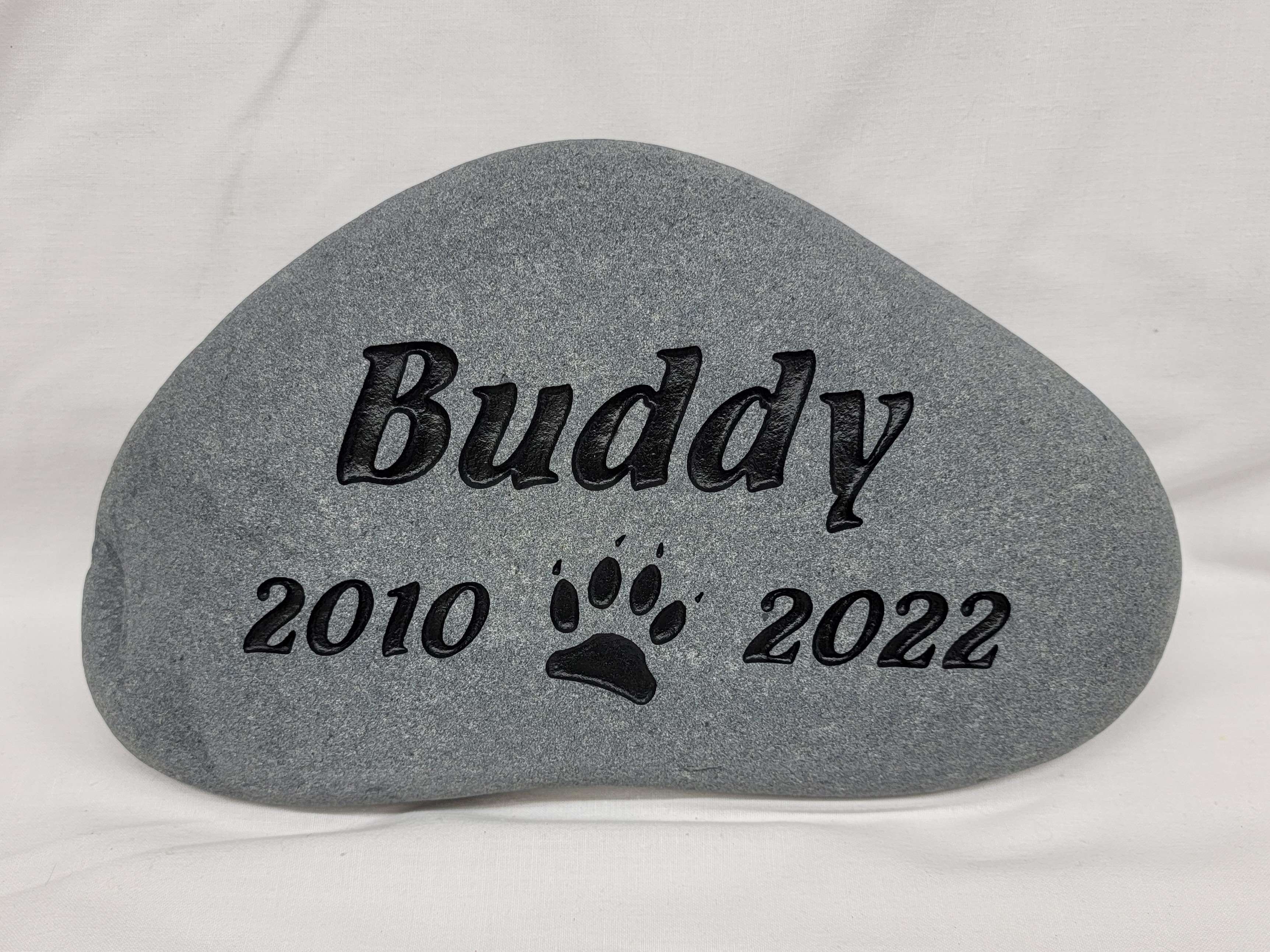 Buddy